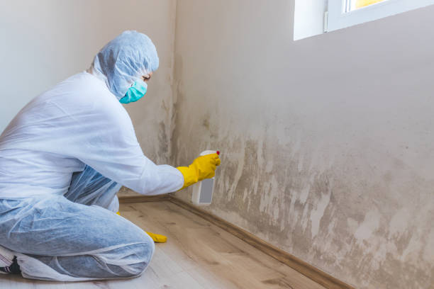 Licensed Mold Testing service in Hamilton, TX - WQB Mold Removal
