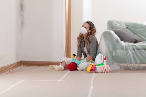 Trusted Mold Testing service in Hamilton, TX - WQB Mold Removal